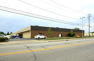 Euclid, OH Flex, Industrial - 1100 E 222nd St