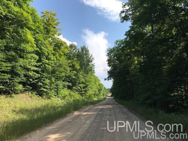 TBD Rock River Road, Deerton, MI for Sale