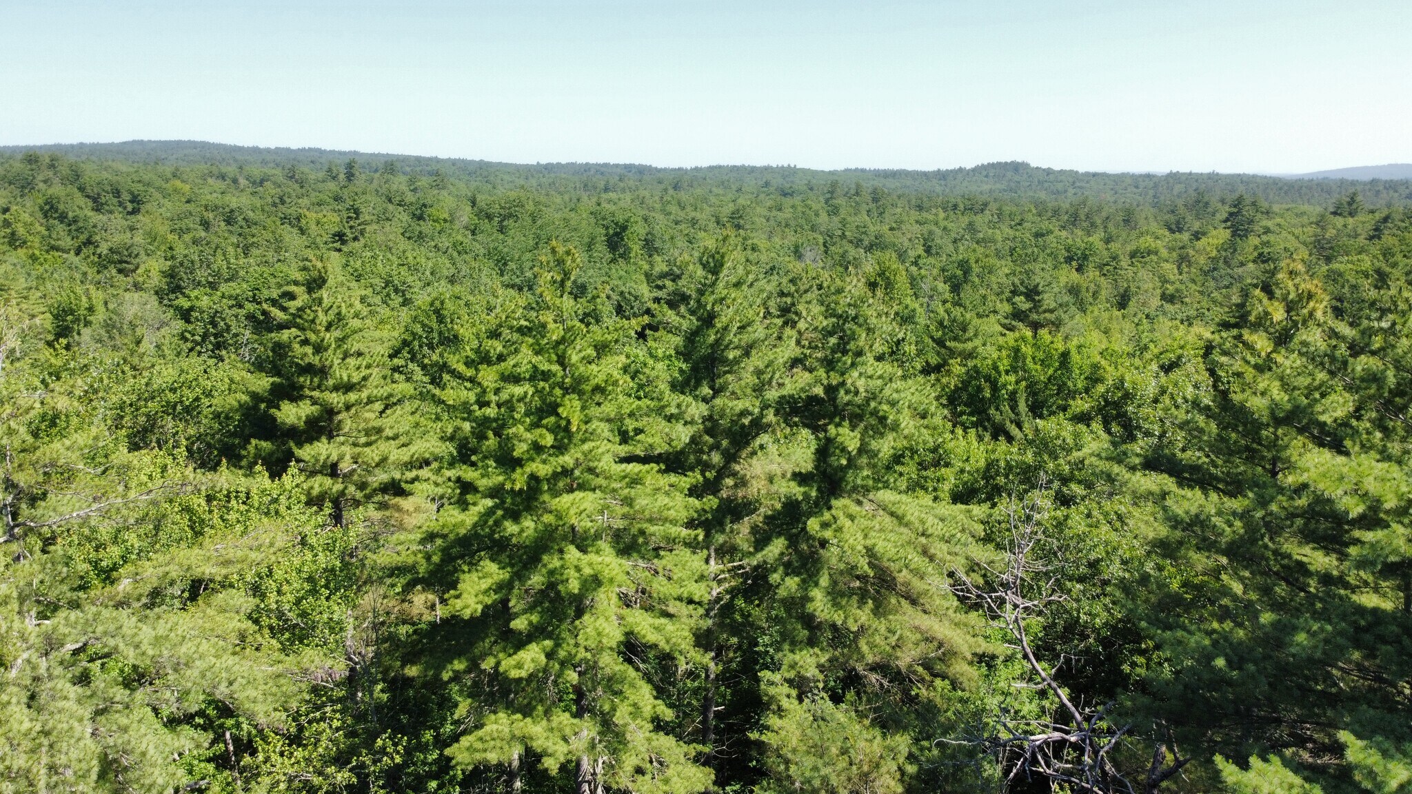 0 Poor Town Road, Pembroke, NH for Sale