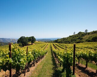 Glen Ellen, CA Specialty - 14335 Sonoma Highway 12 Glen Ellen, CA Specialty - 14335 Sonoma Highway 12