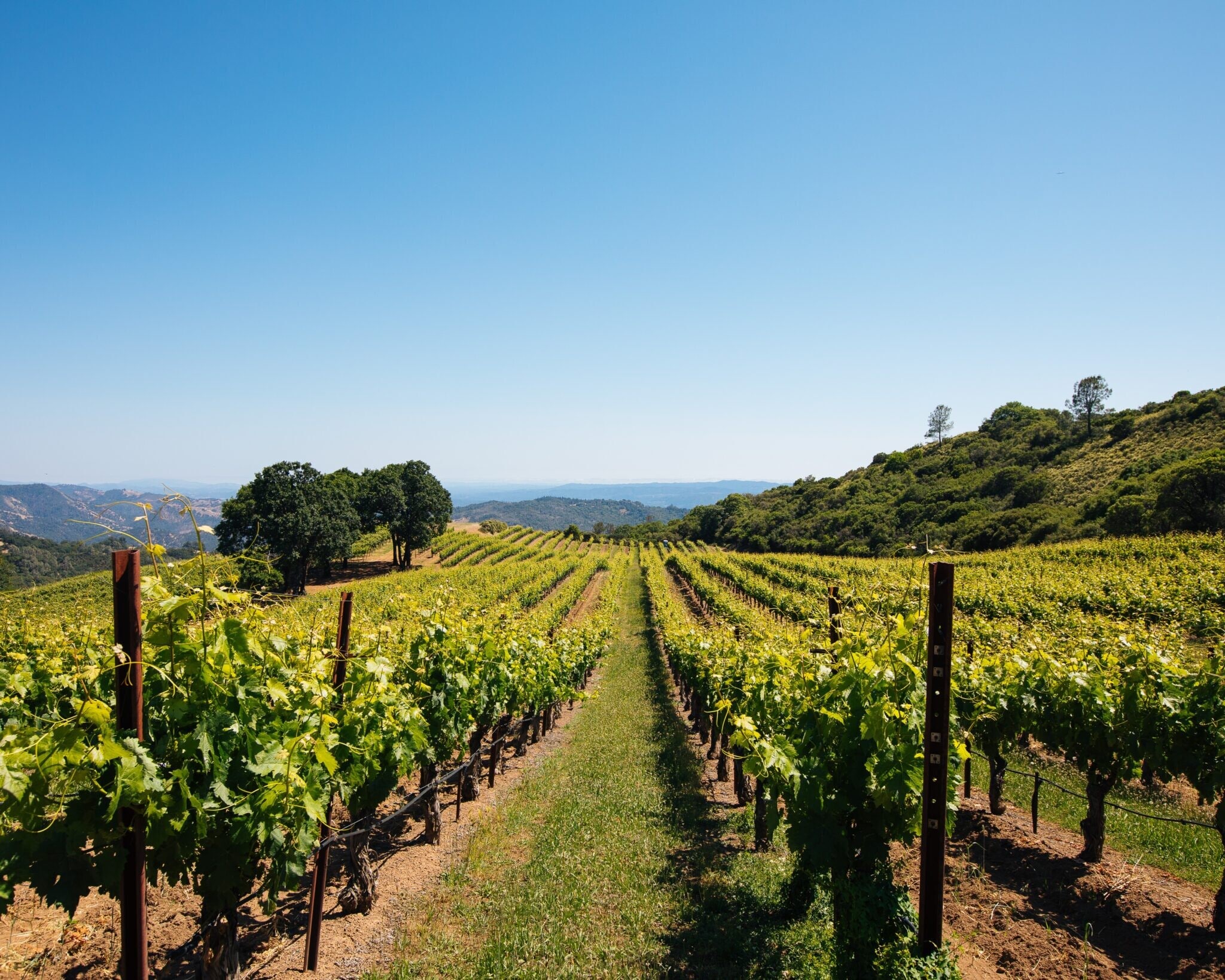 14335 Sonoma Highway 12, Glen Ellen, CA for Sale