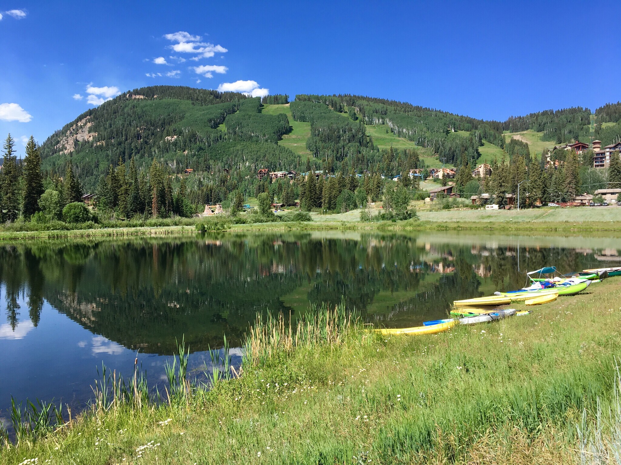 49789 N. US Highway 550, Durango, CO for Sale