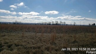 Pollard, AR Agricultural - 74 County Road 325