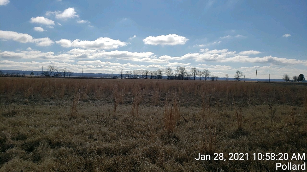 74 County Road 325, Pollard, AR for Sale