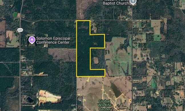 0 Oceola rd, Uneedus, LA for Sale