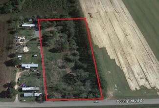 Foley, AL Commercial - 15372 County Road 28 S