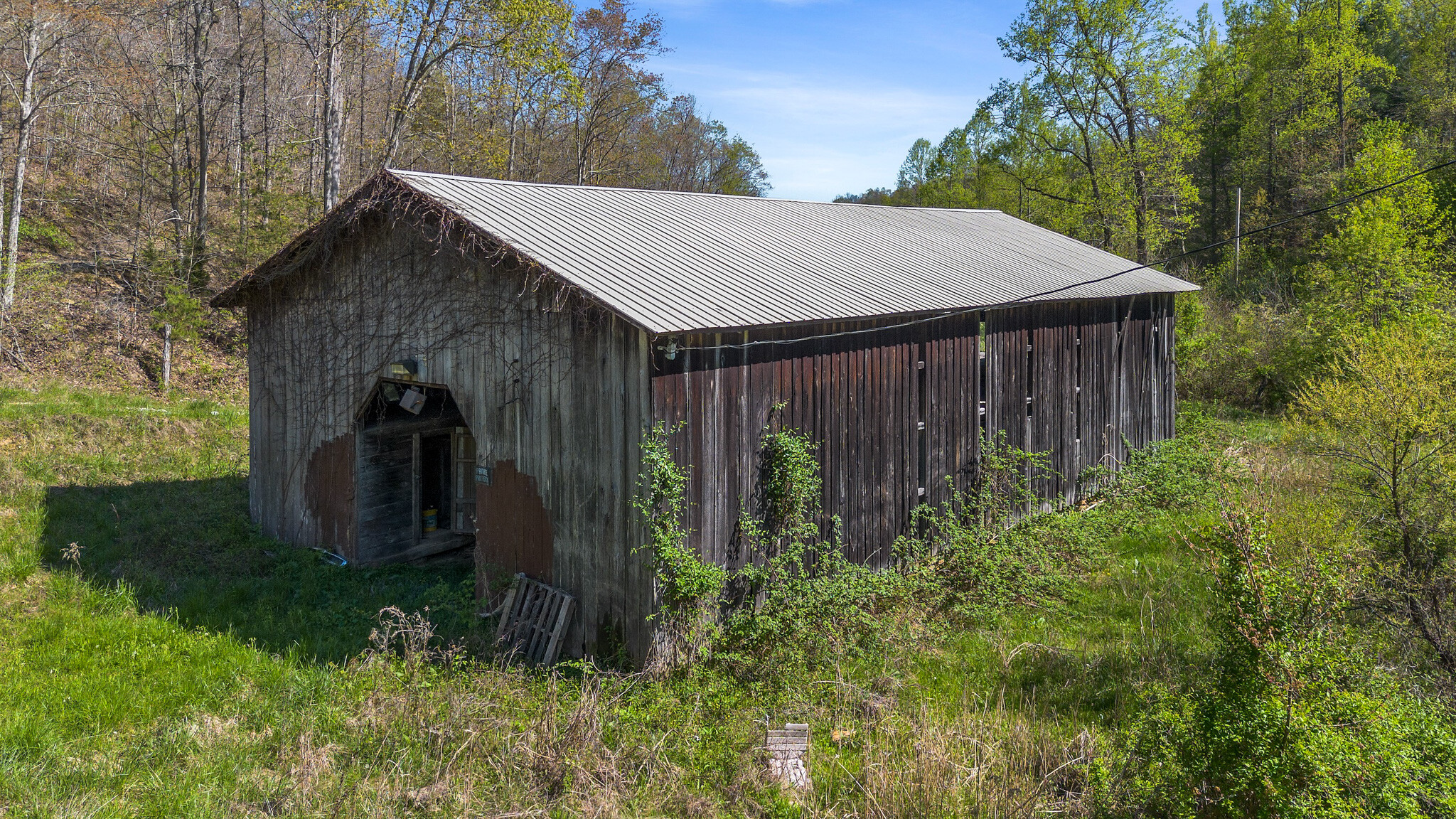 Knipp Branch, Grayson, KY for Sale