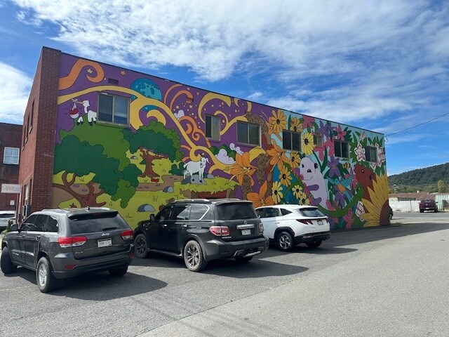 402 Church St, Summersville, WV for Sale