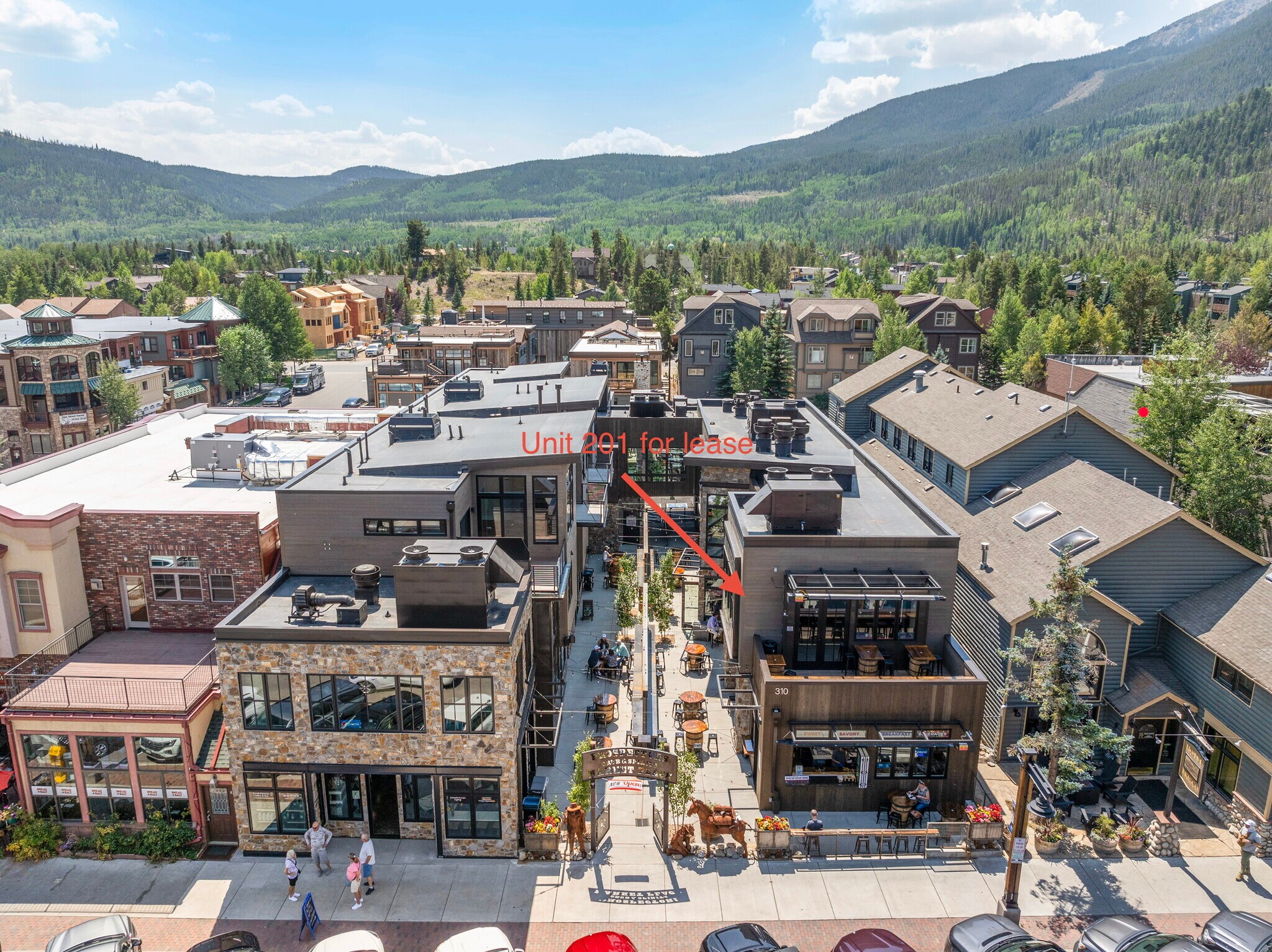 310 Main St, Frisco, CO for Rent