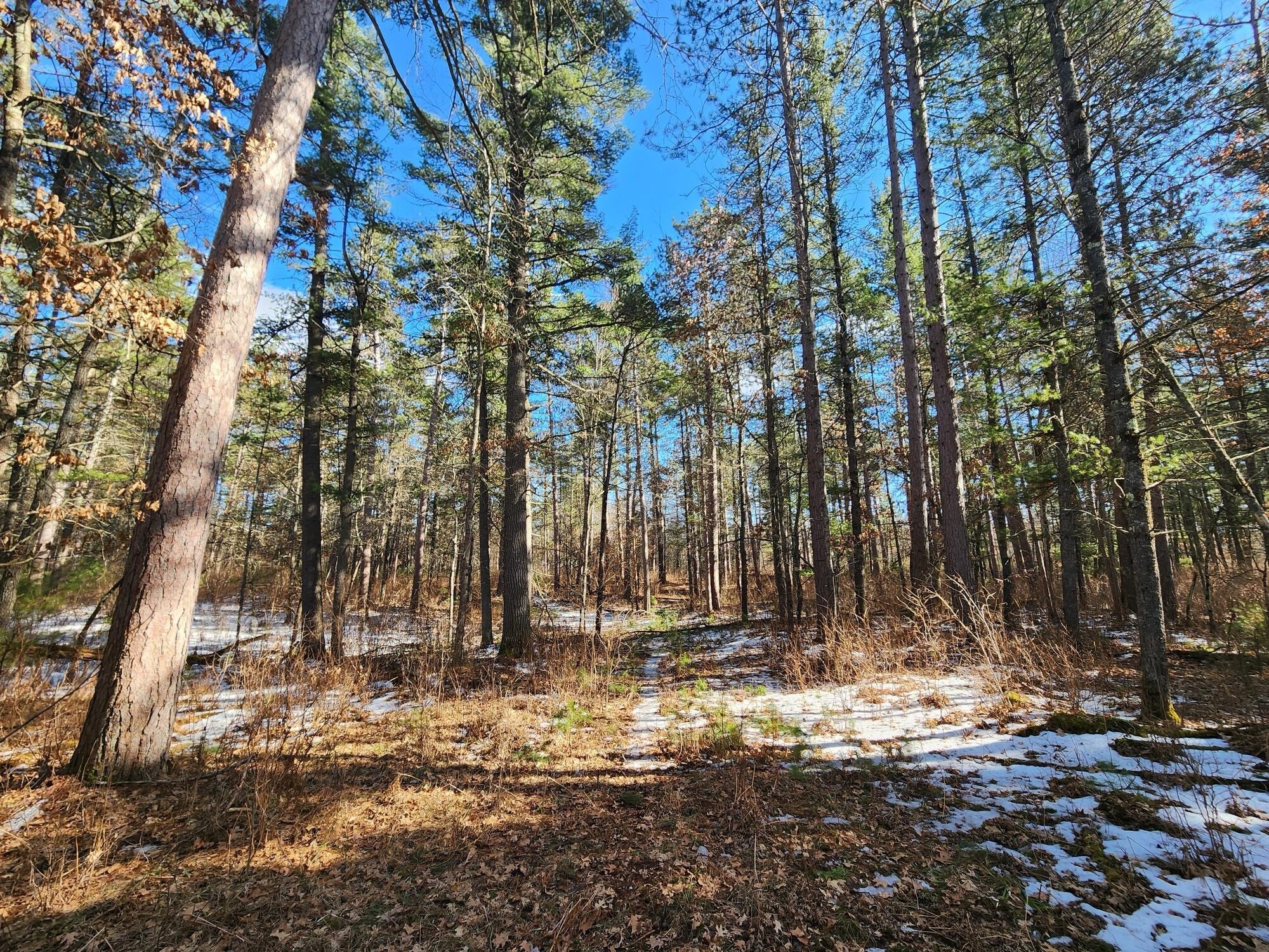Hwy 70 East Hwy, Saint Germain, WI for Sale