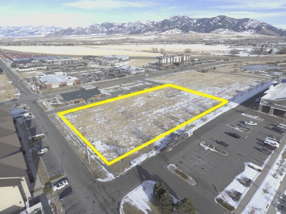 TBD Simmental, Bozeman, MT for Sale