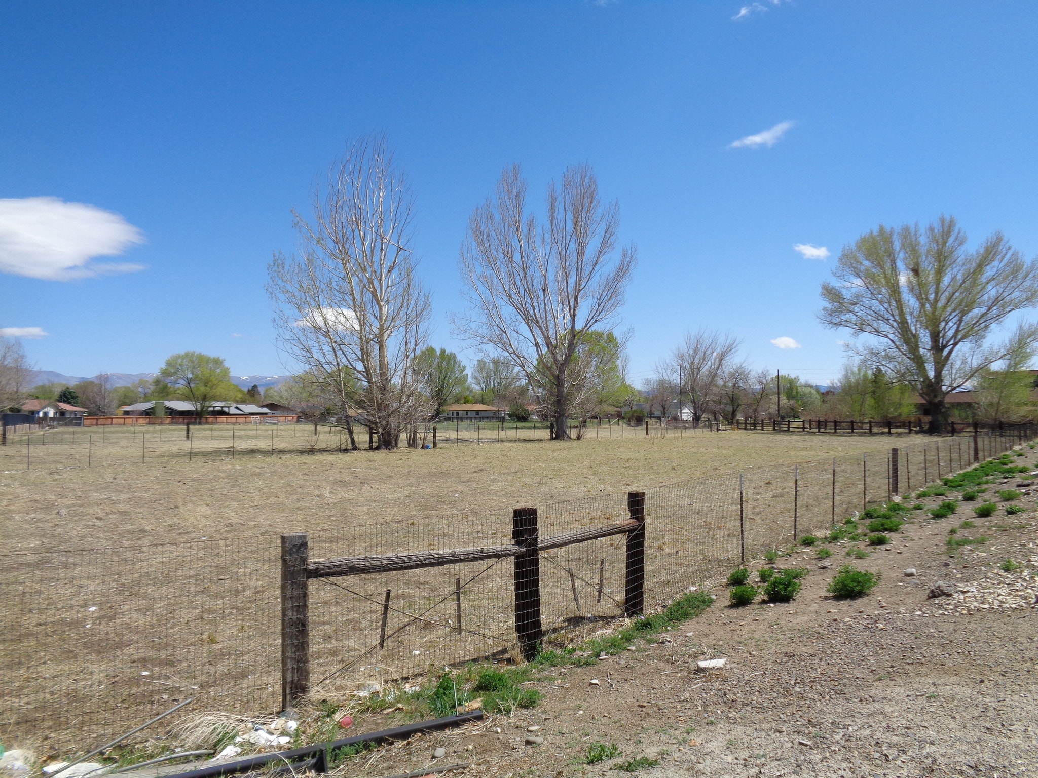 1691 County Rd, Minden, NV for Sale