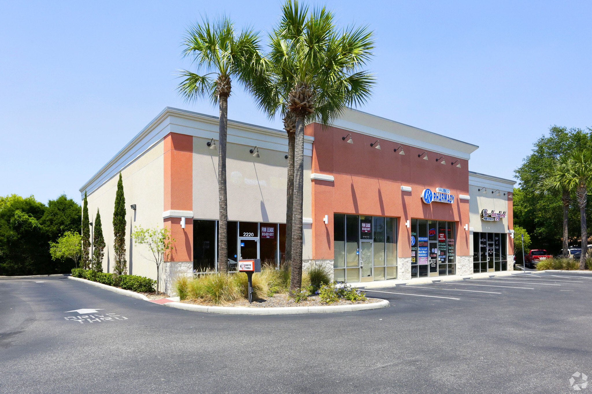 22202226 E Brandon Blvd Valrico, FL 33594 Retail Property for Lease