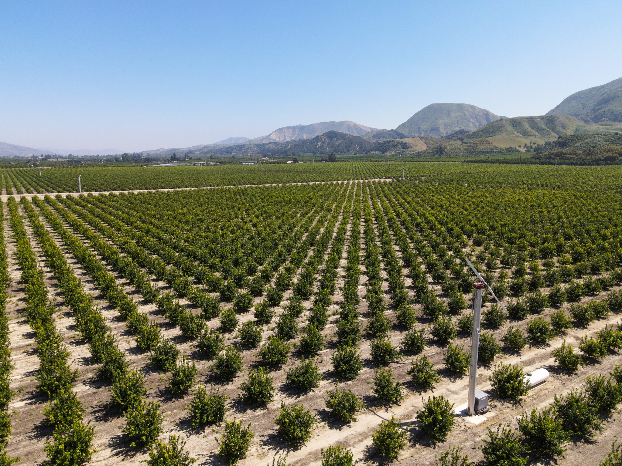 2417 S Mountain Rd, Fillmore, CA for Sale