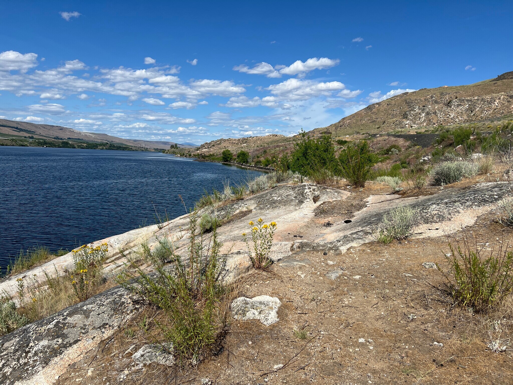 8 Old Highland Orchard Rd, Bridgeport, WA for Sale