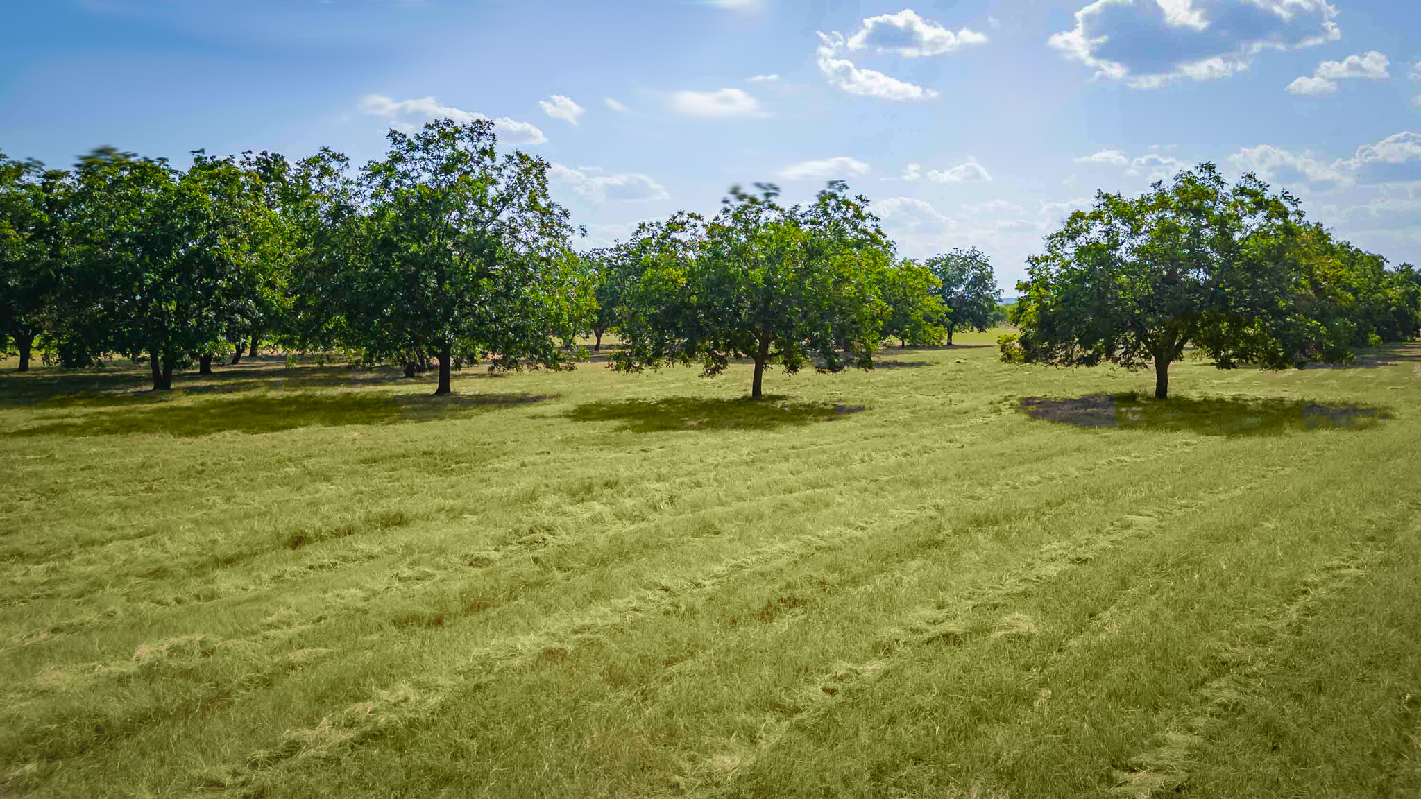 95 Loma Ln, Fredericksburg, TX for Sale