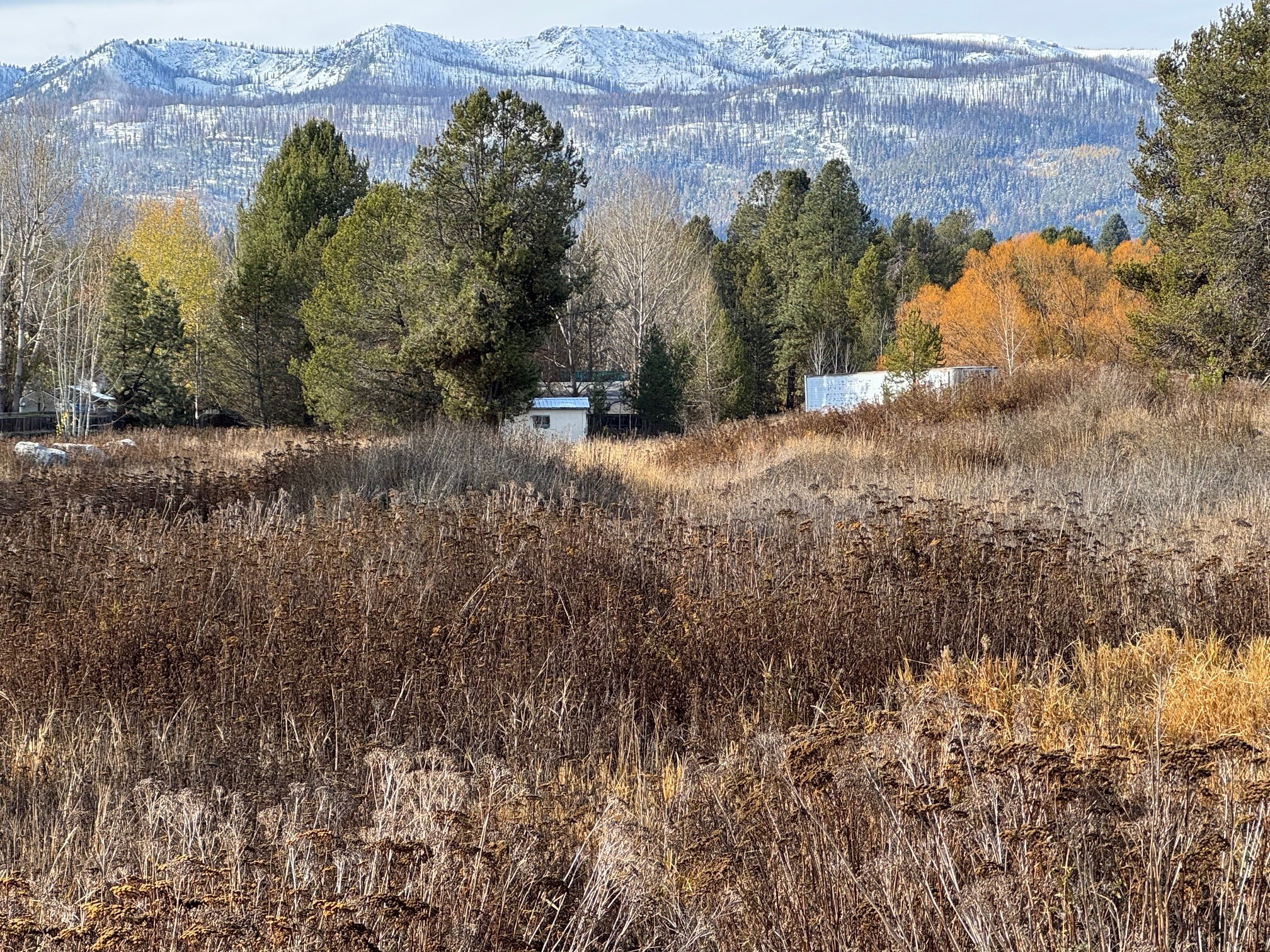 Sawyer Street Sawyer Street St, Cascade, ID for Sale