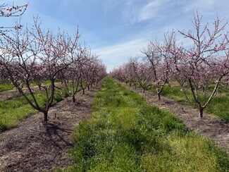 Hughson, CA Agricultural Land - Euclid Ave @ Service Rd