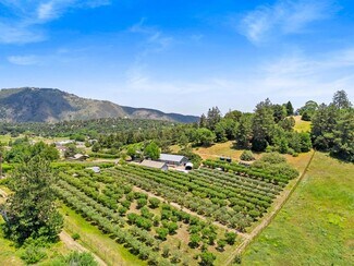 Julian, CA Agricultural Land - 2645 Apple Ln