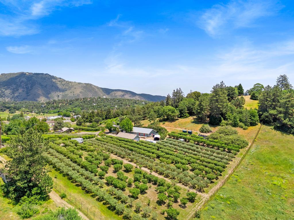 2645 Apple Ln, Julian, CA for Sale
