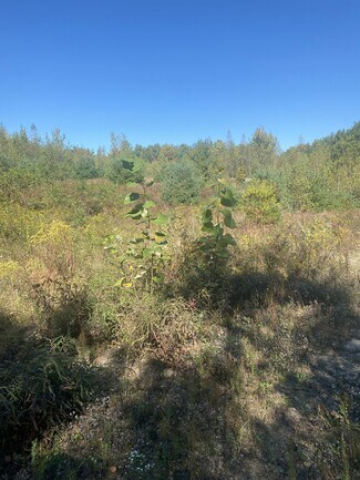 Palmer, MA Residential - 126 State St