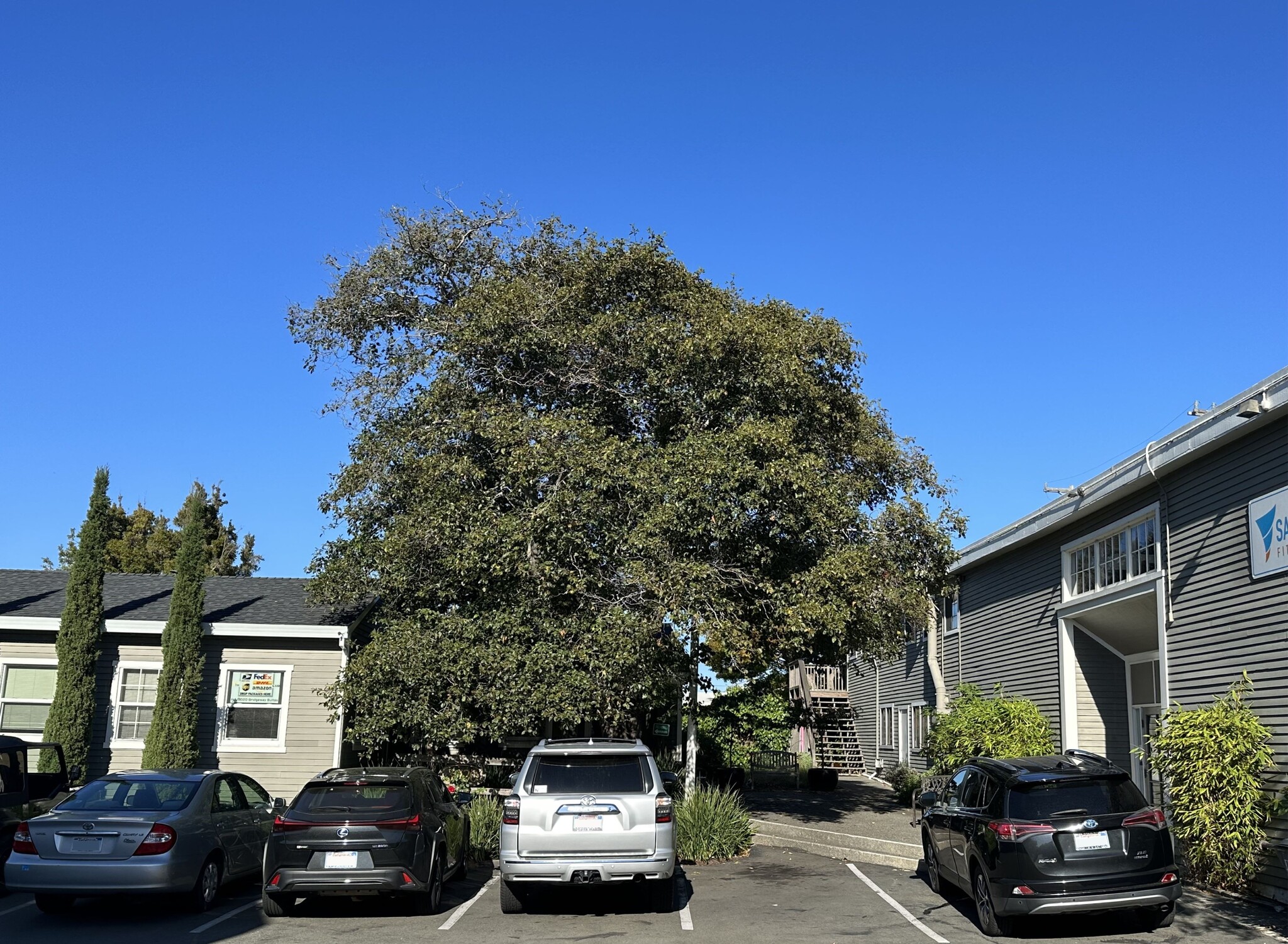 3020 Bridgeway, Sausalito, CA for Rent