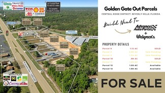 Beverly Hills, FL Commercial - 4154 N Lecanto Highway