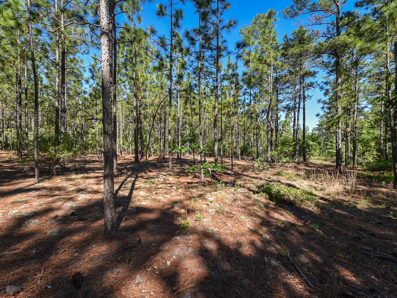 224 Foxfire Rd, Aberdeen, NC for Sale