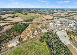 Hamer, SC Commercial - 3239 US 301