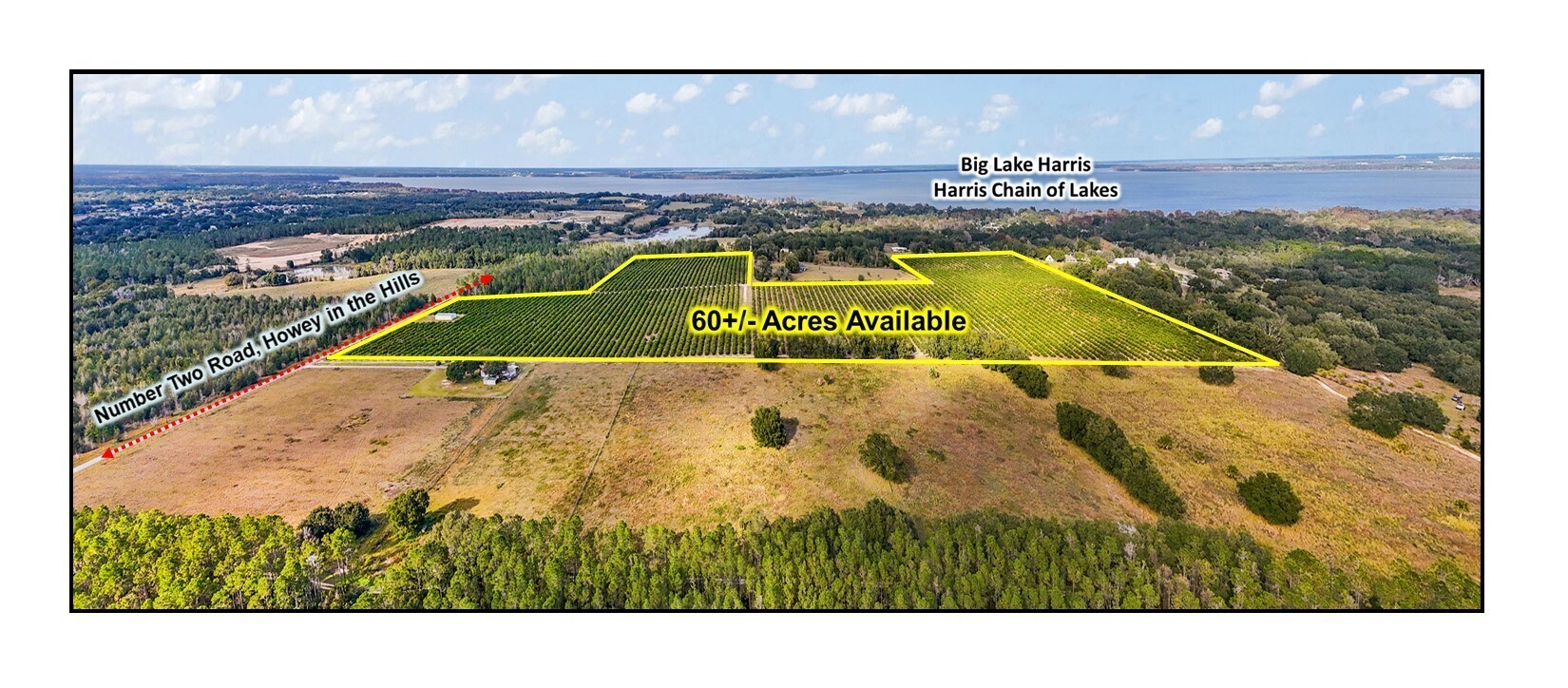 7285 Number Two rd, Howey In The Hills, FL for Sale