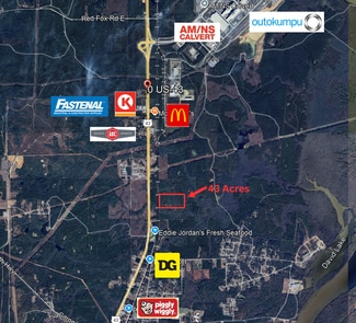 Mount Vernon, AL Commercial - 0 Highway 43 N.