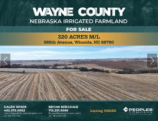 Winside, NE Agricultural - 848th Rd