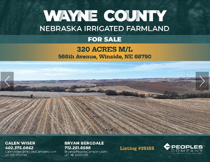 848th Rd, Winside, NE for Sale