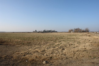 Bakersfield, CA Agricultural Land - 345 Driver Rd