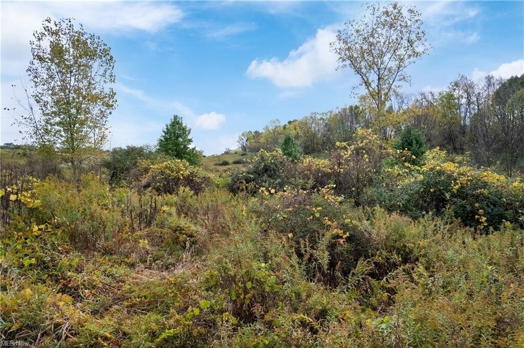 2754 Millersburg Rd, Wooster, OH for Sale