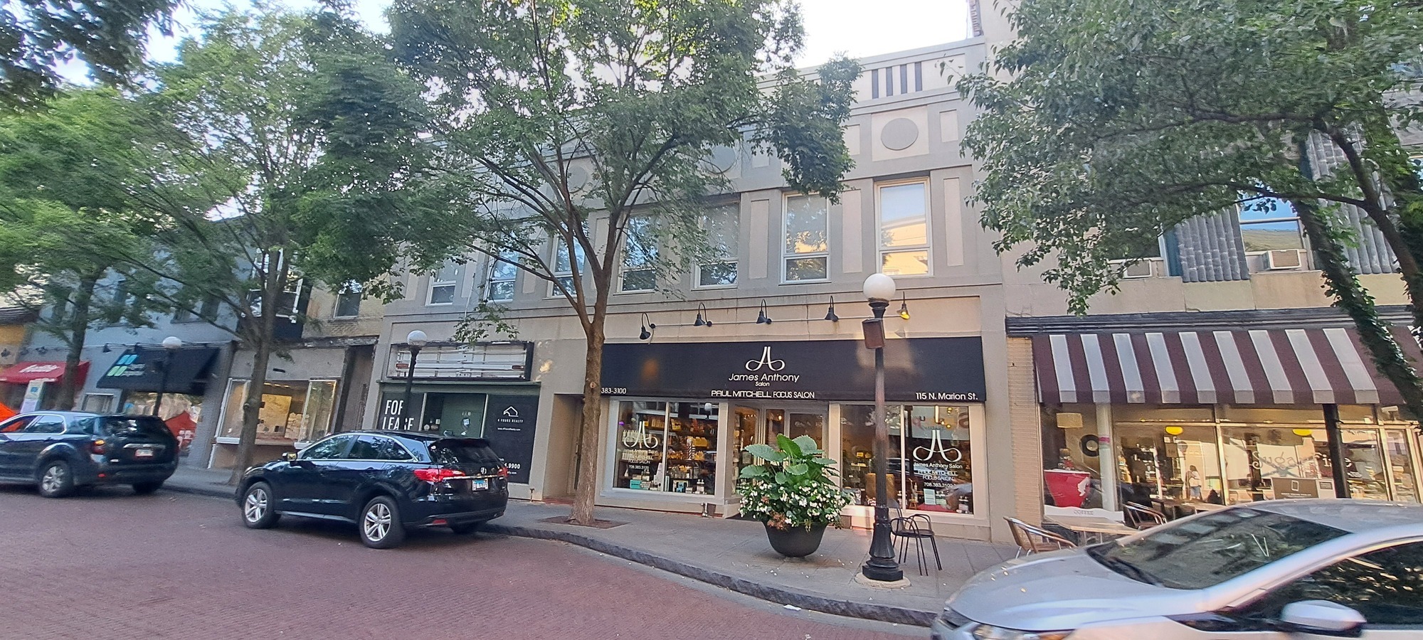 113-115 N Marion St, Oak Park, IL for Sale