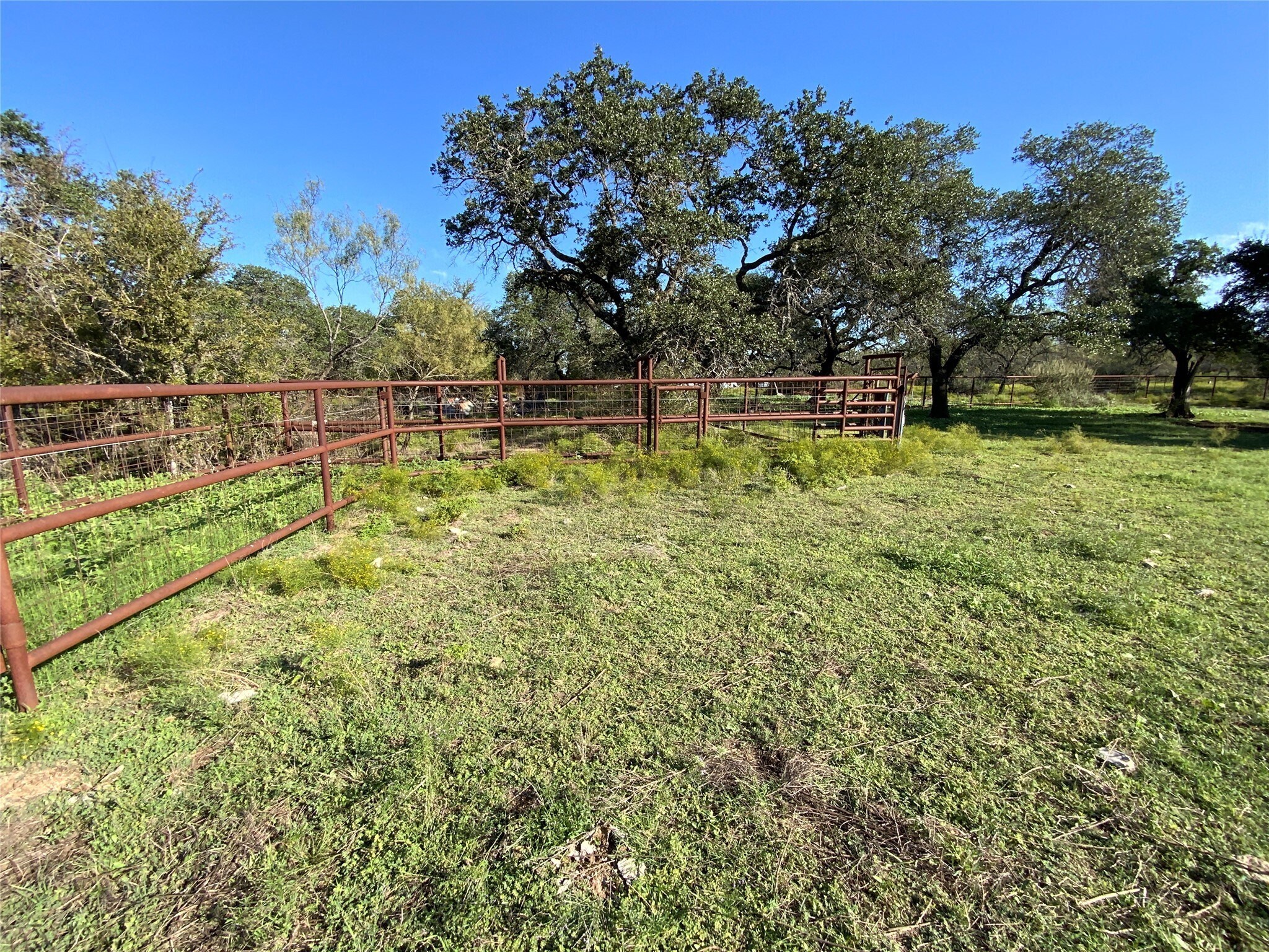 TBD County Road 386, Carlton, TX for Sale