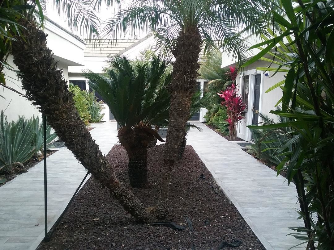 16131 Whittier Blvd, Whittier, CA for Rent