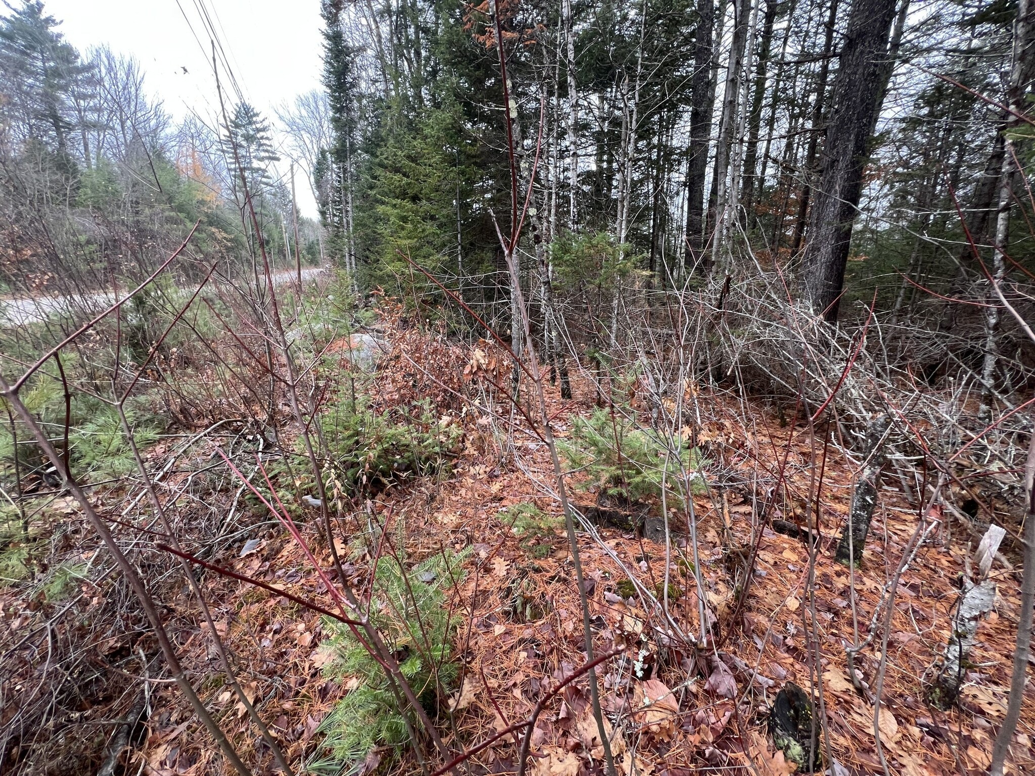 Gray Fox Road, Effingham, NH for Sale