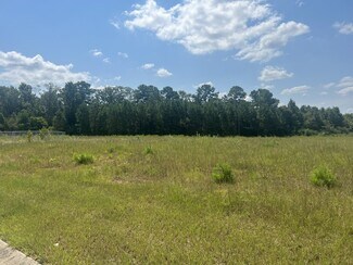 100 Montevallo Commons Pkwy- Lot 14  