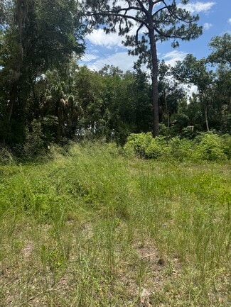 Umatilla, FL Commercial Land - 16220 Leonard St