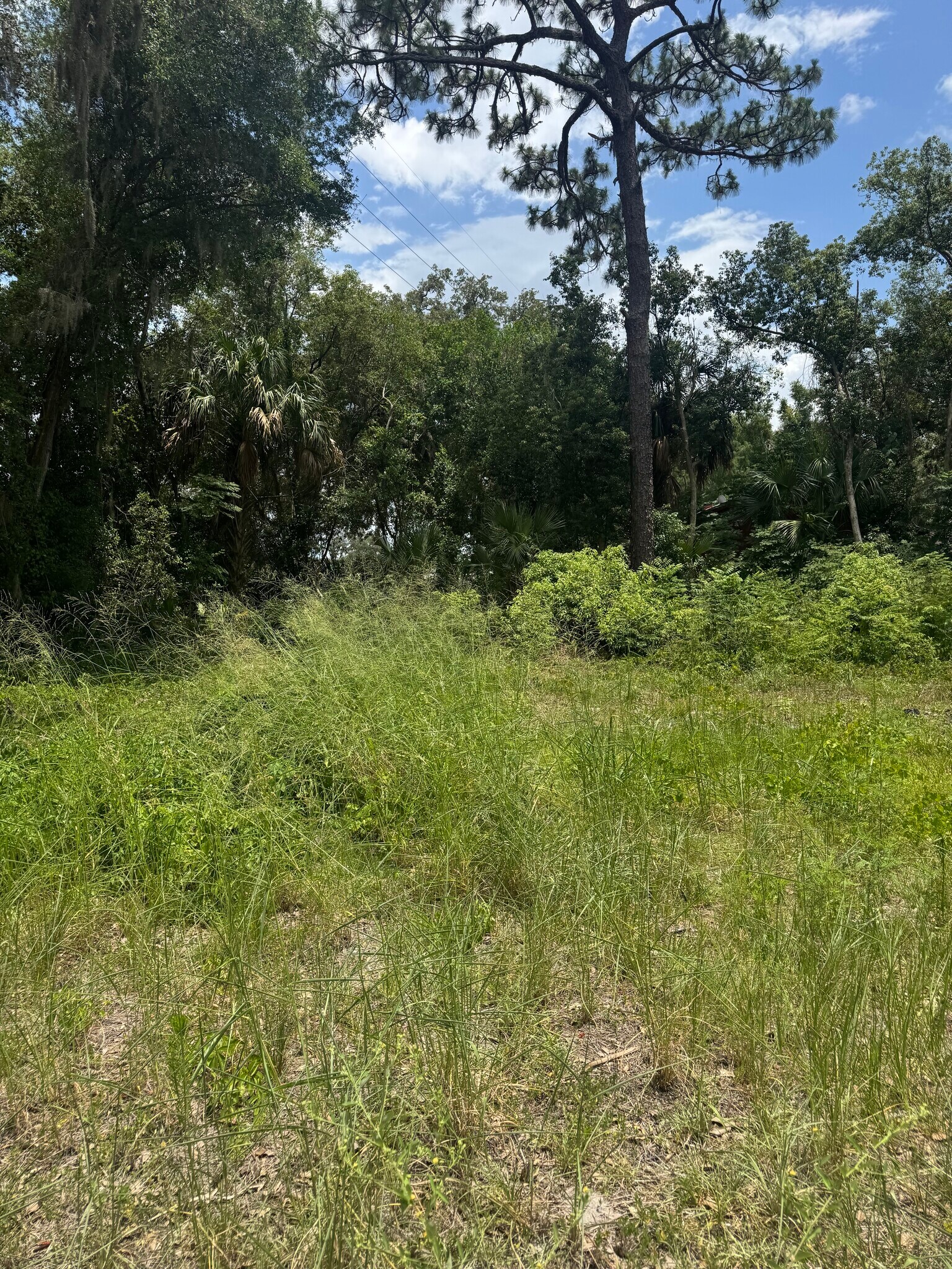 16220 Leonard St, Umatilla, FL for Sale