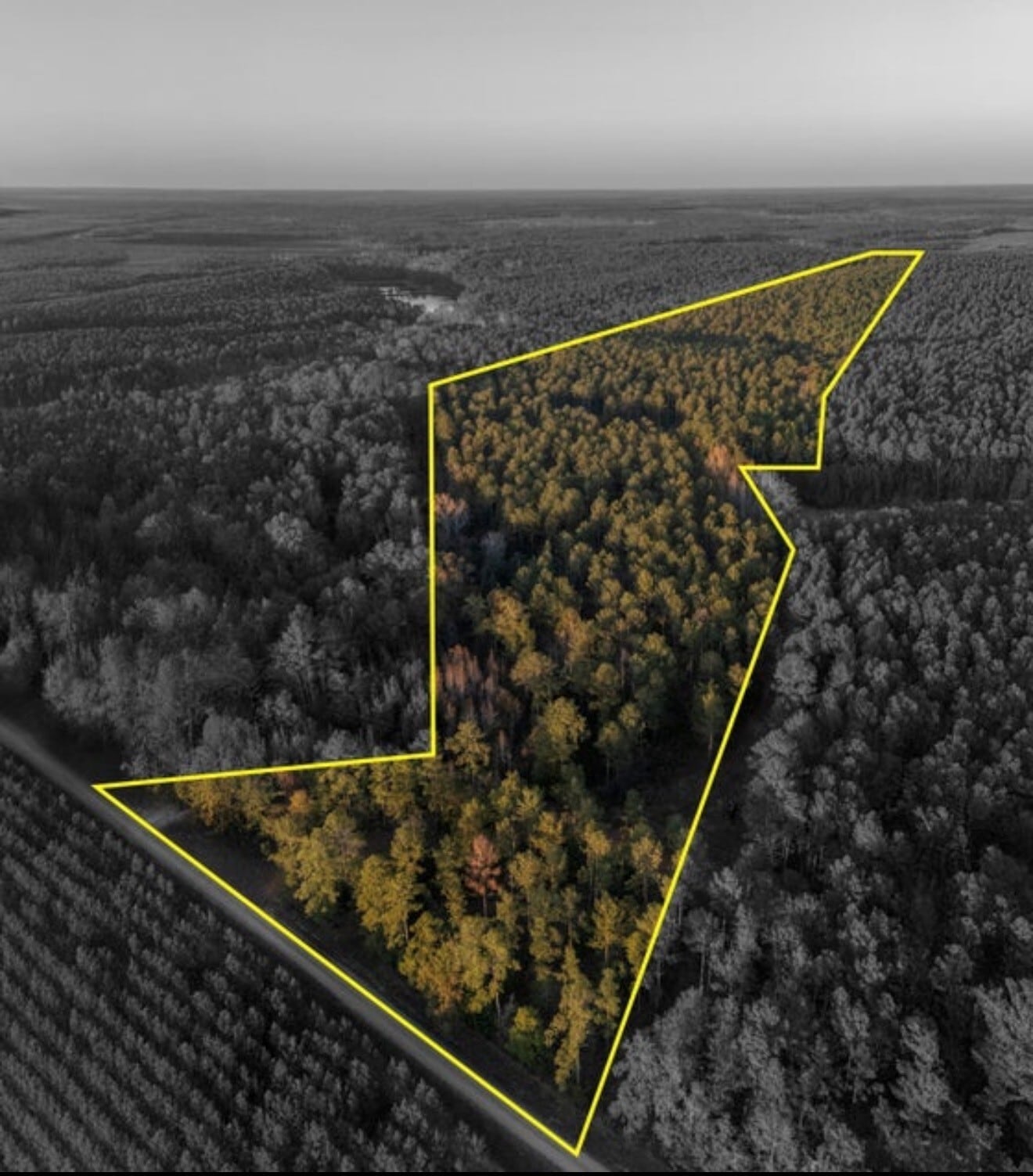 Tbd Barr Chapel Road, Edgefield, SC for Sale