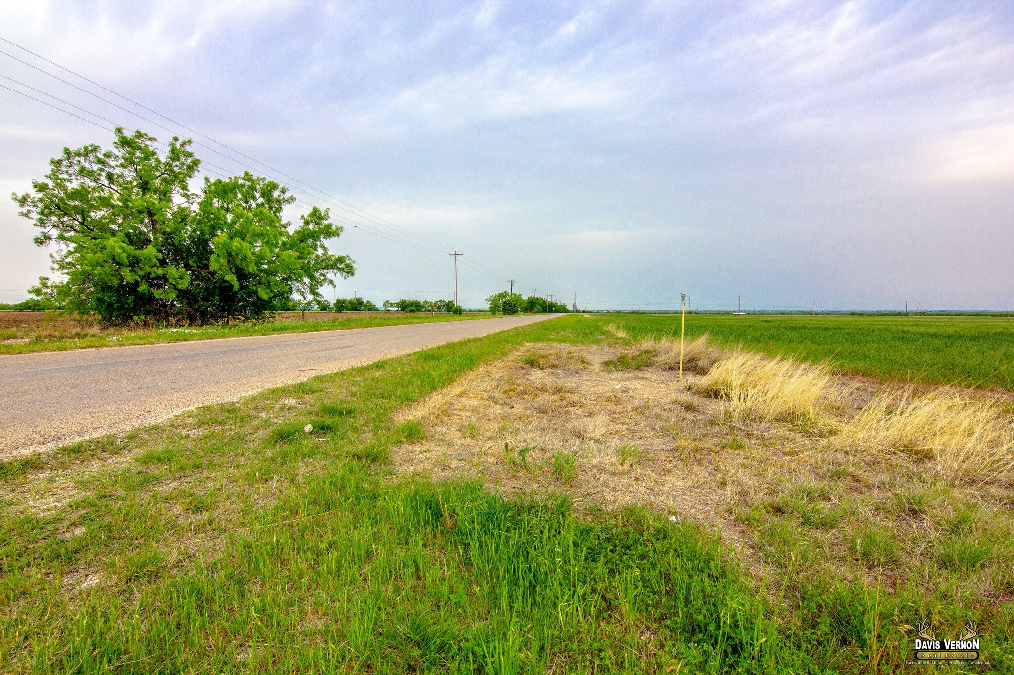TBD FM 36 Hwy, Abilene, TX for Sale