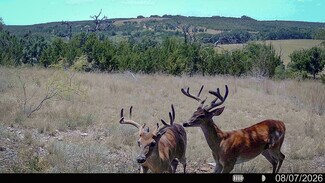 Evant, TX Agricultural - CR 535