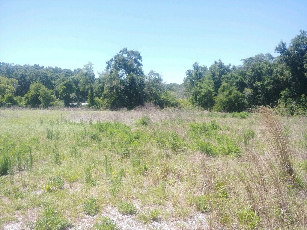 590 E International Speedway Blvd Deland, FL 32724 Land Property for