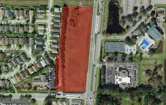 Land O Lakes, FL Commercial Land - Collier Parkway & Weeks Blvd