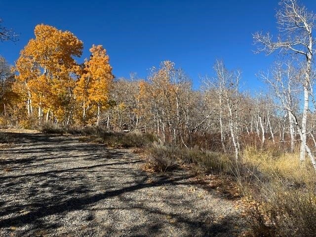 Crowley Lake Dr, Mammoth Lakes, CA for Sale