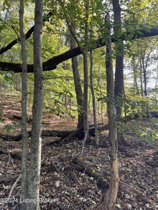 Caneyville, KY Commercial - 370 Gracie Ln