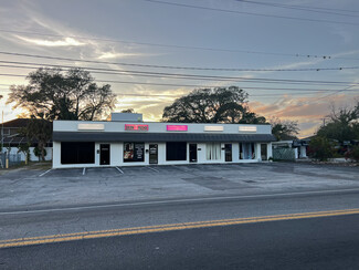 Tampa, FL Retail - 3307 S West Shore Blvd